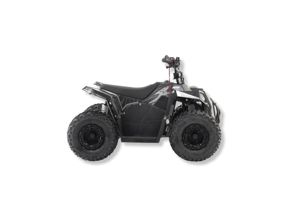 Apollo Motors RFN E-1000 RFN E-1000 2024 alt