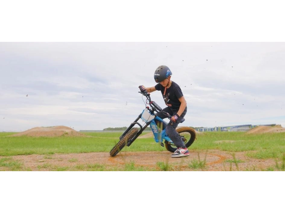 2024 Apollo Motors EVO 20 EVO 20 alt