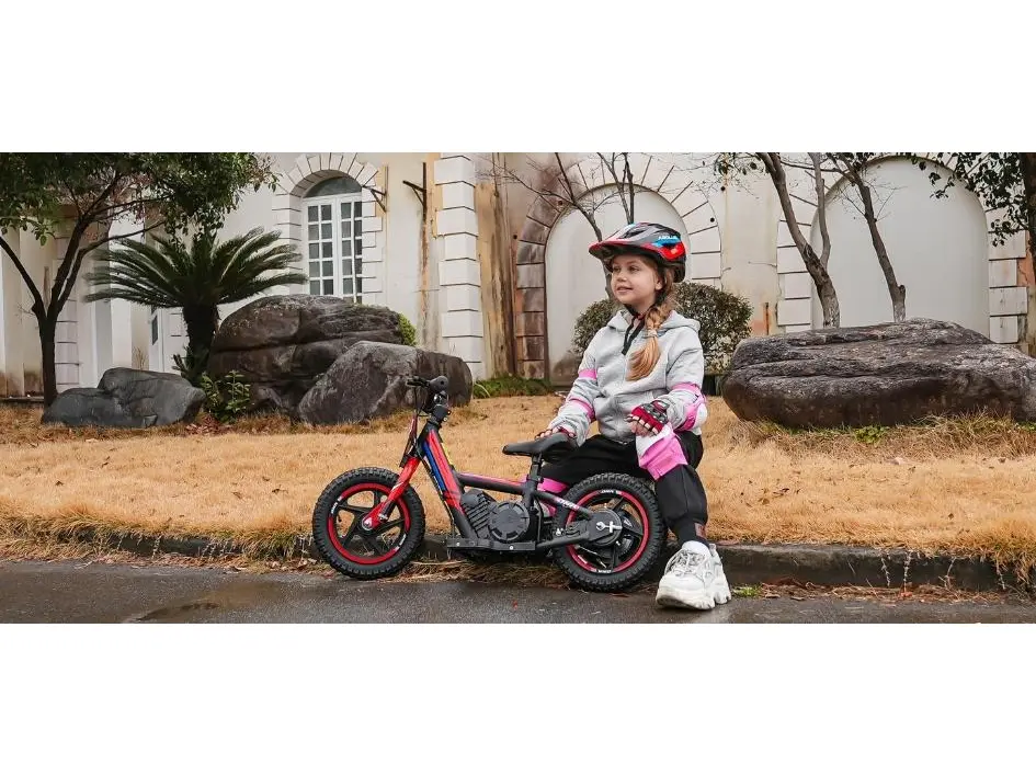 Apollo Motors Sedna 12 2024