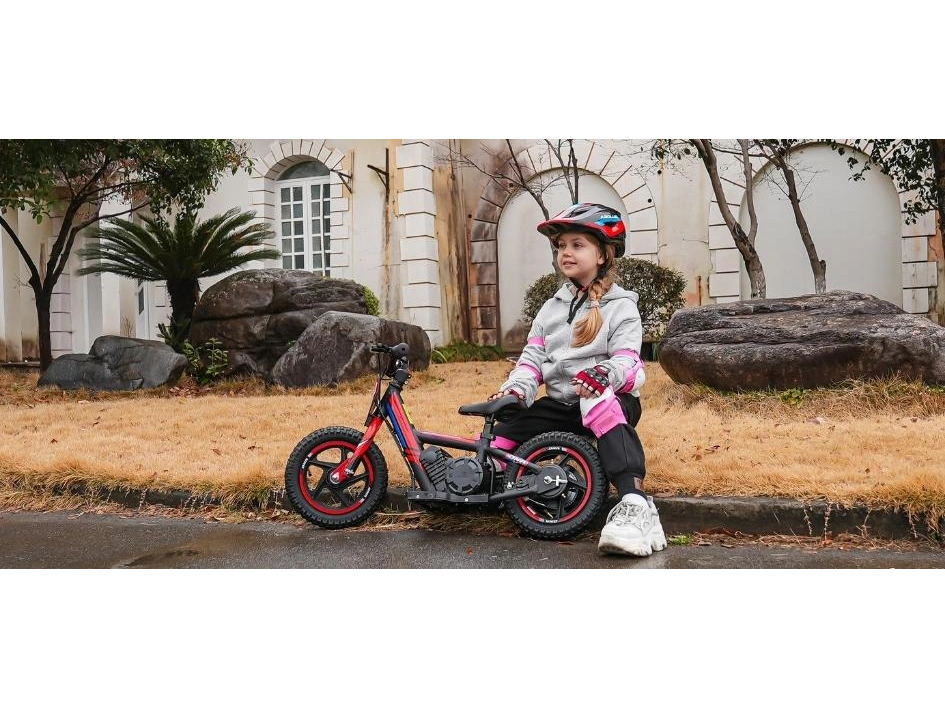 2024 Apollo Motors Sedna 12 Sedna 12 alt