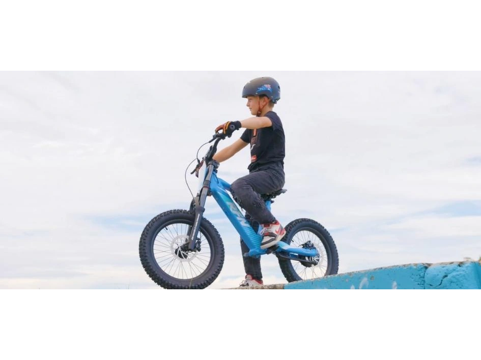 2024 Apollo Motors EVO 20 EVO 20 alt