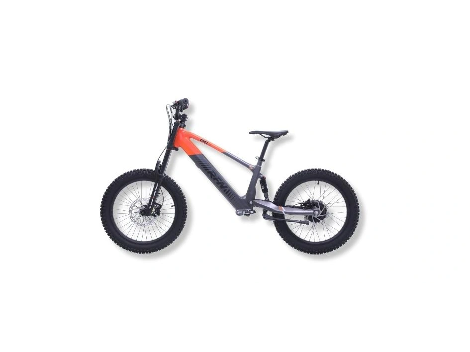 Apollo Motors EVO 20 EVO 20 2024 alt