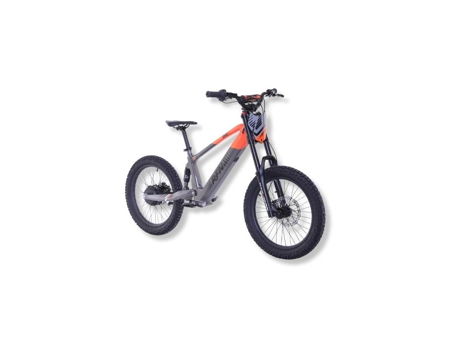 2024 Apollo Motors EVO 20 EVO 20 alt