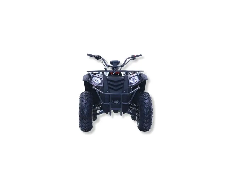 2024 Apollo Motors VRX 200-F