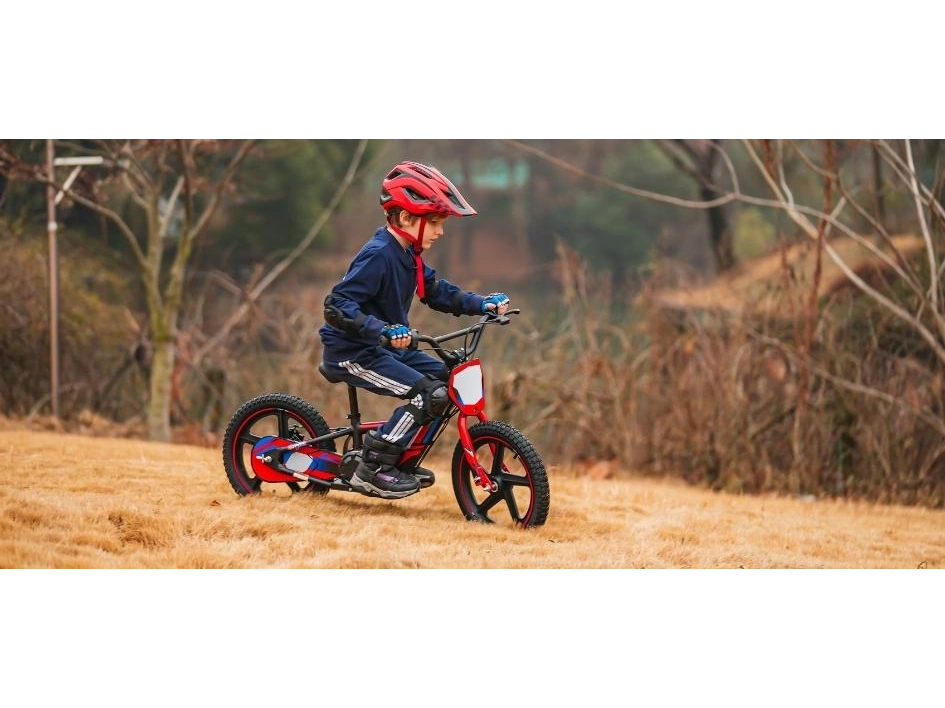 Apollo Motors Sedna 16 plus Sedna 16 plus 2024 alt