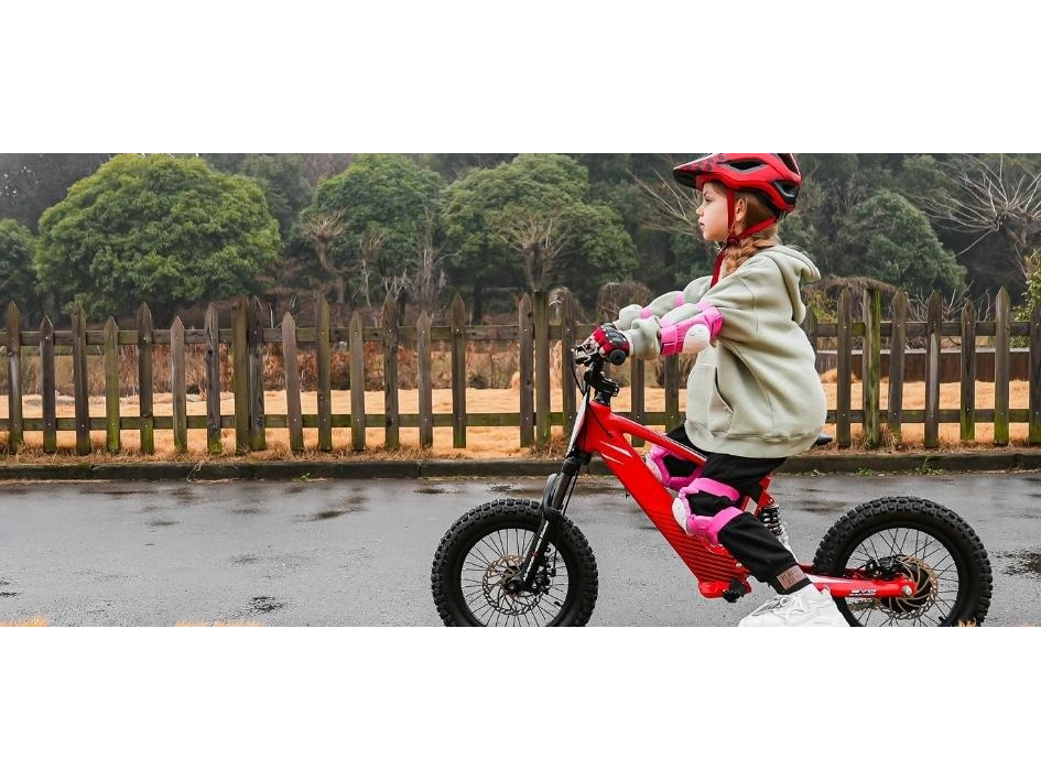 2024 Apollo Motors EVO 18 EVO 18 alt