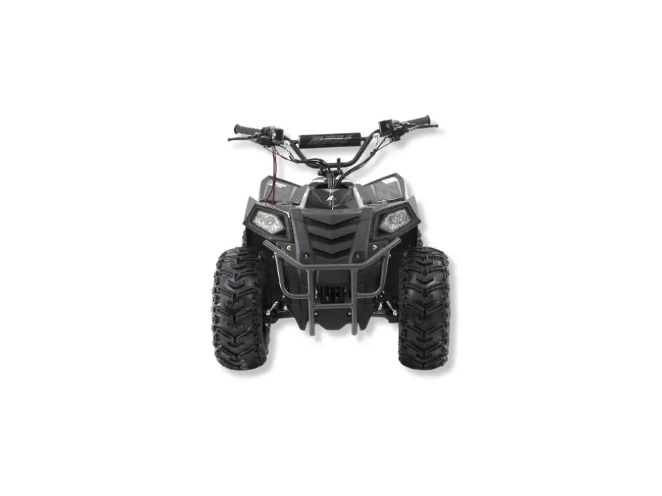 Apollo Motors RFN E-1000 2024