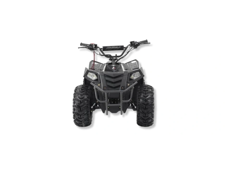 Apollo Motors RFN E-1000 RFN E-1000 2024 alt