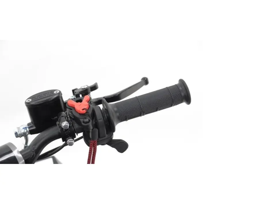 Apollo Motors RFN E-1000 2024