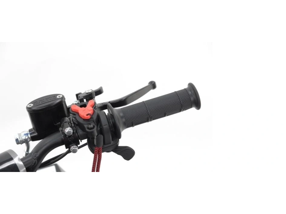 Apollo Motors RFN E-1000 RFN E-1000 2024 alt