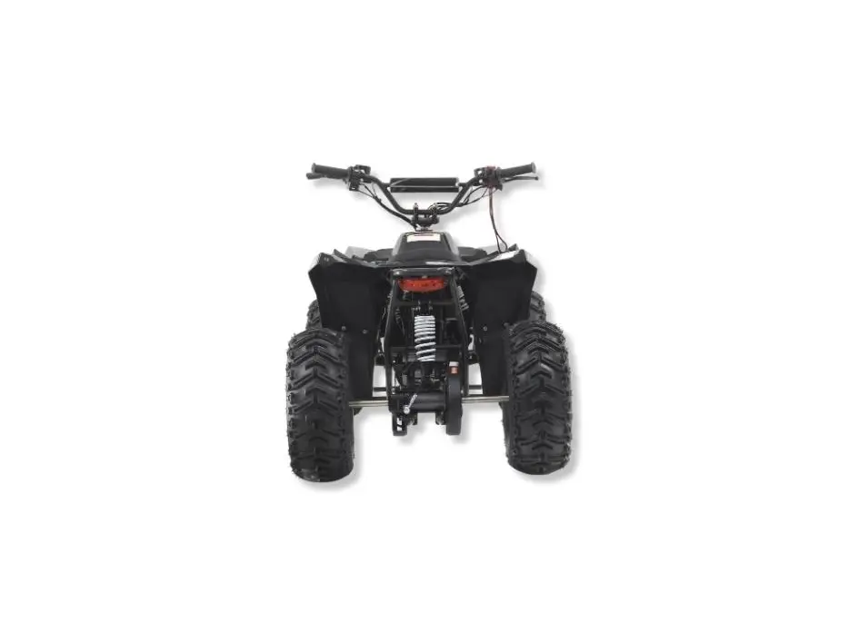 2024 Apollo Motors RFN E-1000