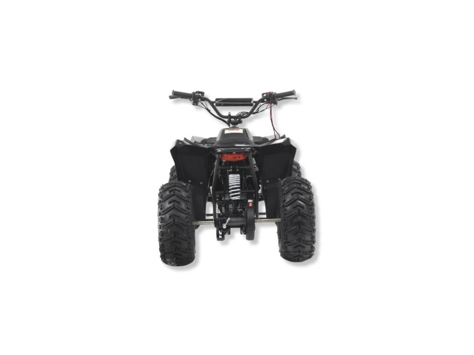 Apollo Motors RFN E-1000 RFN E-1000 2024 alt