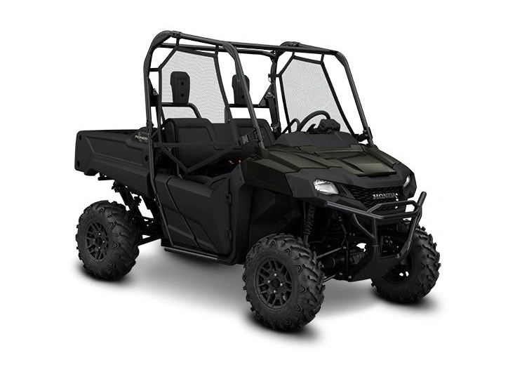 Honda Pioneer 700-2P DLX Pioneer 700-2P DLX 2025 alt
