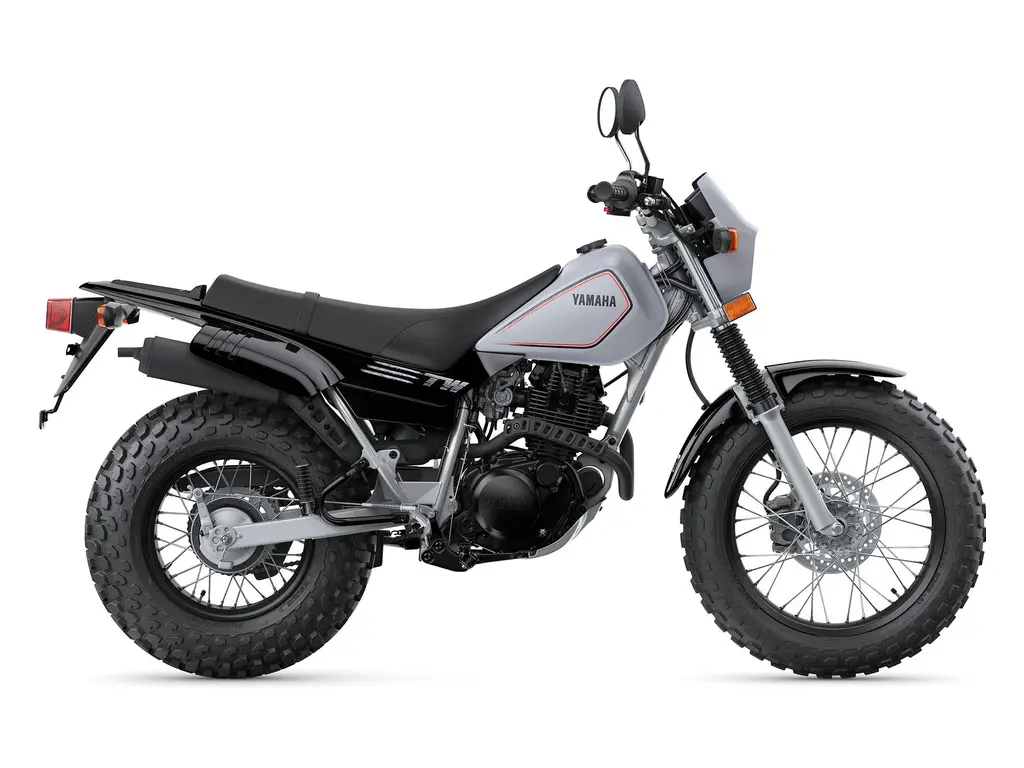 2025 Yamaha TW200 Radical Grey