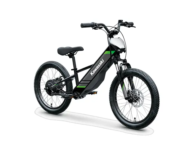 2025 Kawasaki ELEKTRODE 20 Black