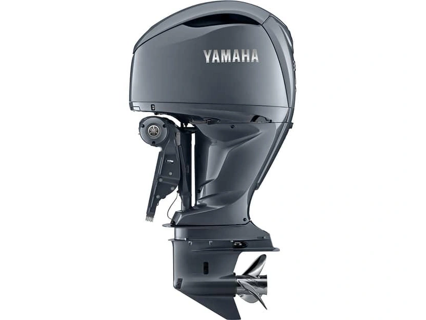 Yamaha F350 F350 noir/gris 2024 alt