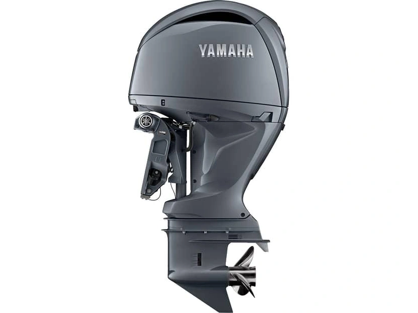 2024 Yamaha F175 F175 Grey