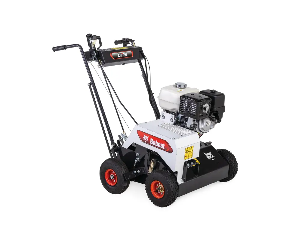 Bobcat DT19