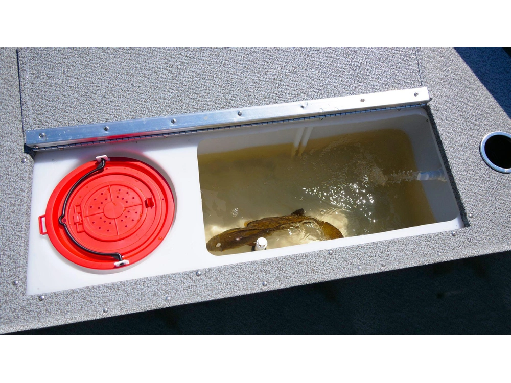 Bateaux Legend 16 XTE Tiller 16 XTE Tiller 2024 alt