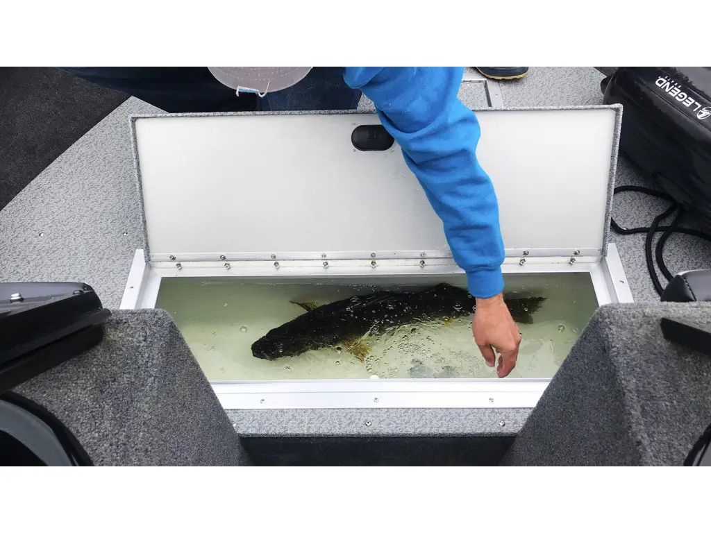 2024 Legend Boats 20 XTR Troller