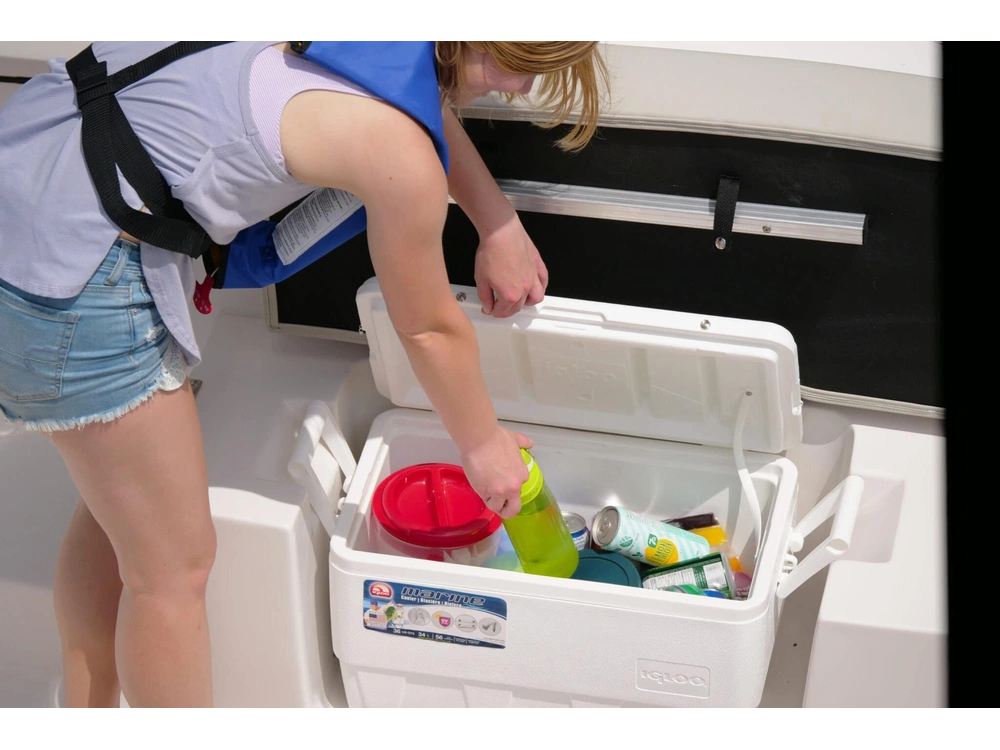 2024 Legend Boats D19 D19 alt