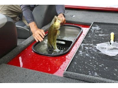 Lund 1775 RENEGADE 1775 RENEGADE ss 2024 alt