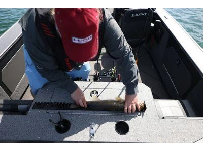 2024 Lund 2075 FISHERMAN 2075 FISHERMAN sport alt