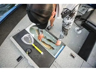 Lund 1650 Angler tiller 2024