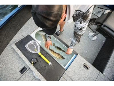 Lund 1650 Angler 1650 Angler tiller 2024 alt