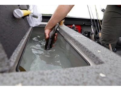 2024 Lund 2075 FISHERMAN 2075 FISHERMAN sport alt