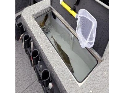 2024 Lund 1875 Fisherman 1875 Fisherman sport alt