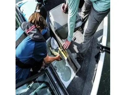 Lund 1650 Rebel XL ss 2024