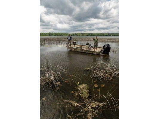 Lund 2070 PREDATOR 2070 PREDATOR ss 2024 alt