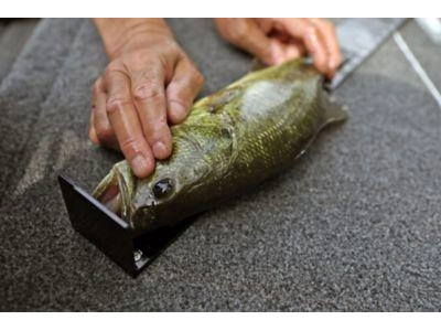 2024 Lund 1775 RENEGADE 1775 RENEGADE ss alt