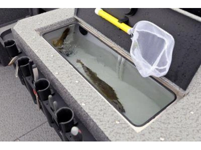 2024 Lund 2075 FISHERMAN 2075 FISHERMAN sport alt