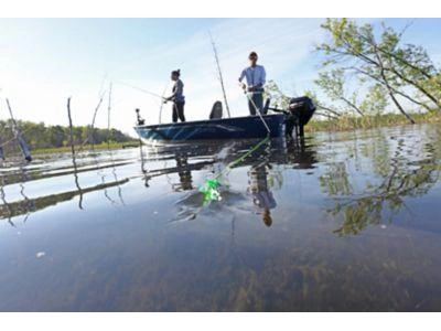 2024 Lund 1400 Fury 1400 Fury tiller alt