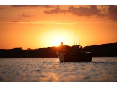 2024 Lund 2075 FISHERMAN 2075 FISHERMAN sport alt