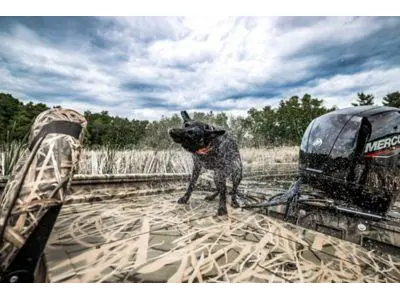 2024 Lund 2070 PREDATOR ss