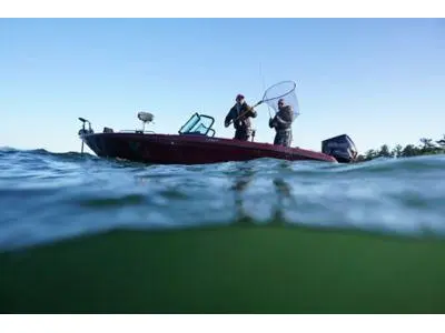 Lund 219 PRO-V GL sport 2024