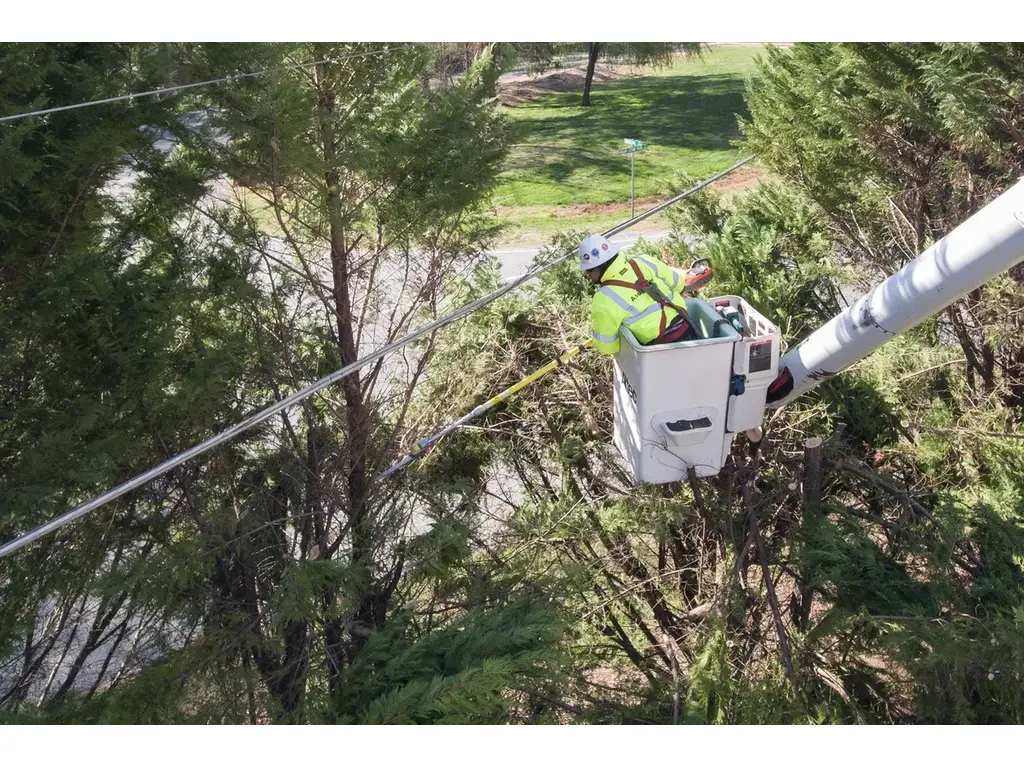 Husqvarna 525iDEPS MADSAW (outil seulement) 2024