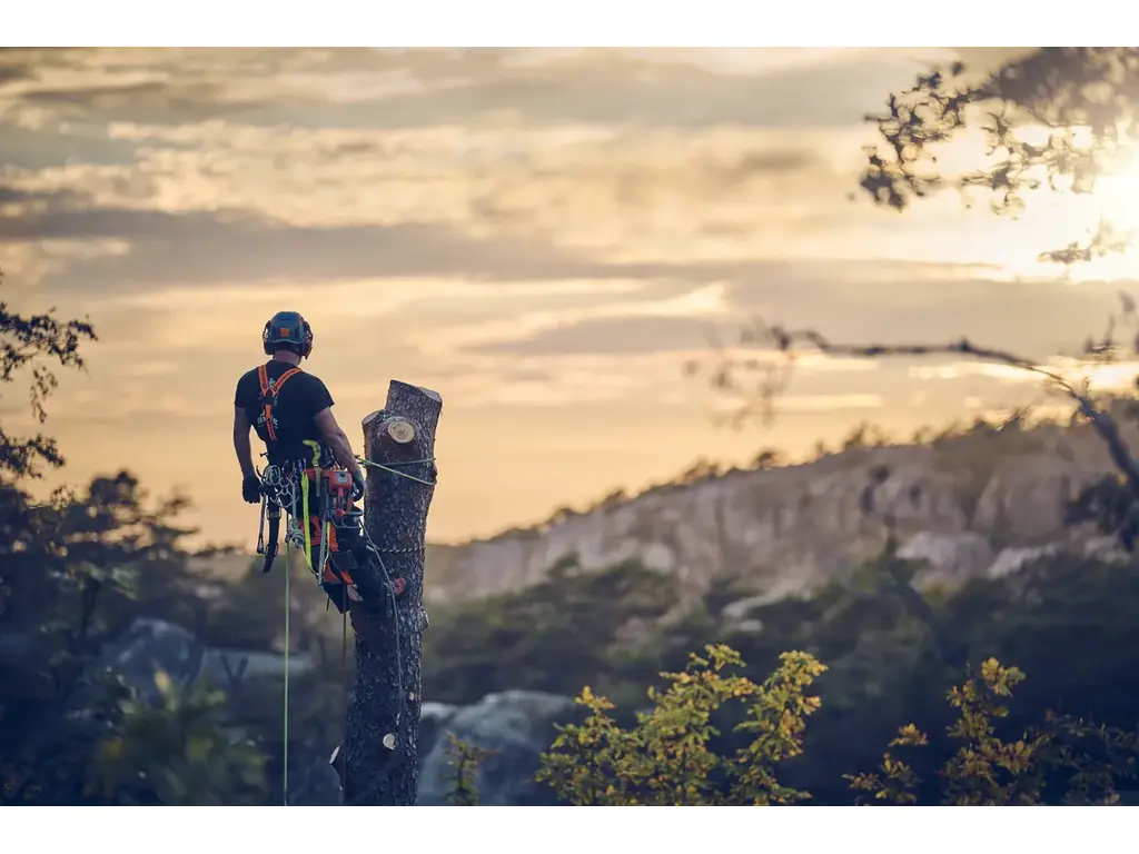 Husqvarna T540 XP® Mark III 2024