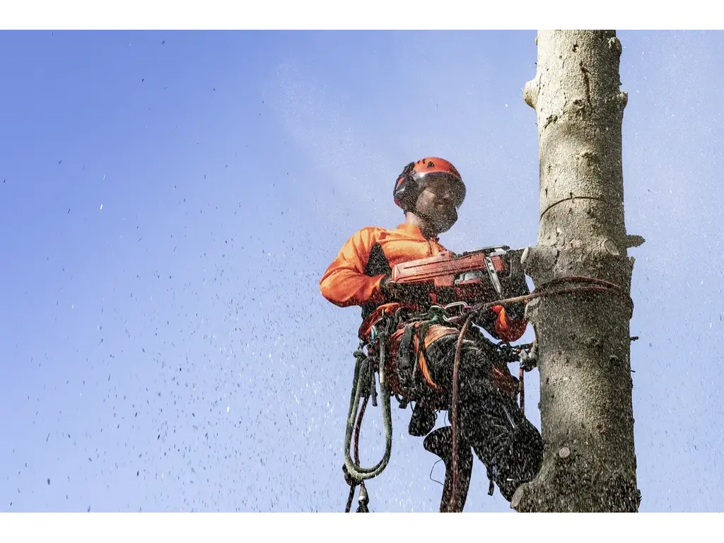 2024 Husqvarna 550 XP® G Mark II