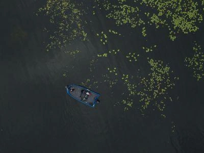 Crestliner Xf Xf 179 2024 alt