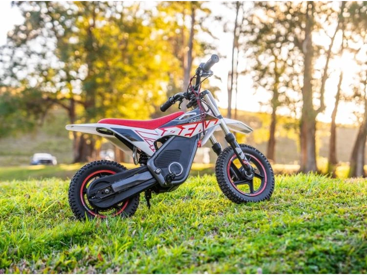 2025 RFN Warrior E-500W Warrior E-500W alt