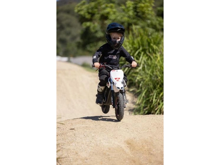 2025 RFN Warrior E-250W Warrior E-250W alt