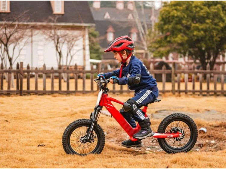 RFN EVO-20 EVO-20 2025 alt