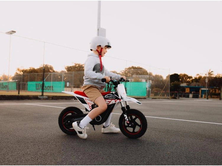 2025 RFN Warrior E-250W Warrior E-250W alt