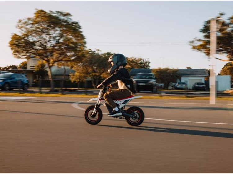 2025 RFN Warrior E-250W Warrior E-250W alt