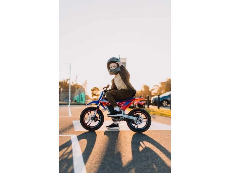 RFN Warrior E-250W Warrior E-250W 2025 alt