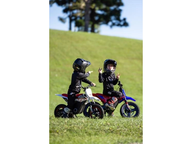 2025 RFN Warrior E-250W Warrior E-250W alt